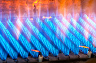 Bradenham gas fired boilers